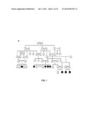 DIAGNOSTIC TEST AND TREATMENT FOR A NEUROLOGICAL DISORDER diagram and image