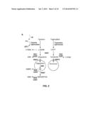 DIAGNOSTIC TEST AND TREATMENT FOR A NEUROLOGICAL DISORDER diagram and image