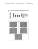 DIPHENYL ETHER COMPOUNDS FOR THE TREATMENT OF LIVER, LUNG DISORDERS,     DIABETIC COMPLICATIONS AND CARDIOVASCULAR DISEASES diagram and image