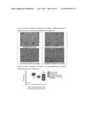 DIPHENYL ETHER COMPOUNDS FOR THE TREATMENT OF LIVER, LUNG DISORDERS,     DIABETIC COMPLICATIONS AND CARDIOVASCULAR DISEASES diagram and image