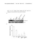 DIPHENYL ETHER COMPOUNDS FOR THE TREATMENT OF LIVER, LUNG DISORDERS,     DIABETIC COMPLICATIONS AND CARDIOVASCULAR DISEASES diagram and image