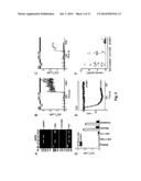 CALCIUM CHANNEL PROTEINS AND USES THEREOF diagram and image