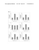 PREPARATION OF (R,R)-FENOTEROL AND (R,R)-OR (R,S)-FENOTEROL ANALOGUES AND     THEIR USE IN TREATING CONGESTIVE HEART FAILURE diagram and image