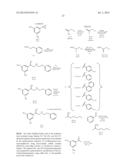 PREPARATION OF (R,R)-FENOTEROL AND (R,R)-OR (R,S)-FENOTEROL ANALOGUES AND     THEIR USE IN TREATING CONGESTIVE HEART FAILURE diagram and image