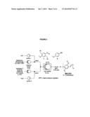 PROCESS FOR THE SYNTHESIS OF CONJUGATED POLYMERS diagram and image