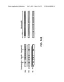 VARIABLE PRECISION FLOATING POINT MULTIPLY-ADD CIRCUIT diagram and image