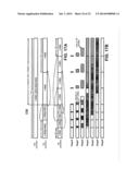 VARIABLE PRECISION FLOATING POINT MULTIPLY-ADD CIRCUIT diagram and image