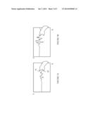 Method for Controlling the Magnification Level on a Display diagram and image