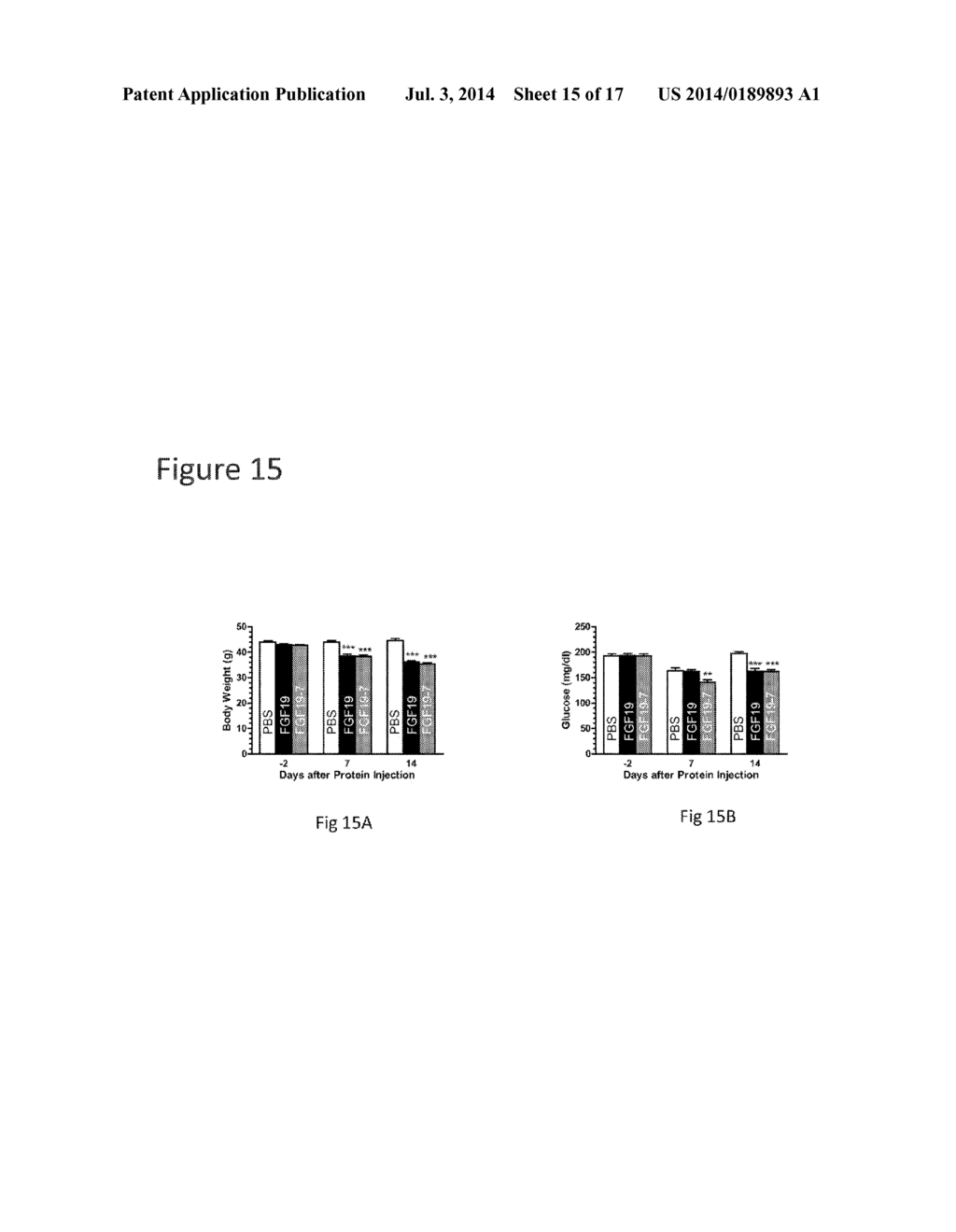 METHOD OF IDENTIFYING COMPOUNDS THAT SPECIFICALLY MODULATE THE INTERACTION     OF FGFR1 AND BETA KLOTHO - diagram, schematic, and image 16