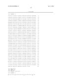 MUTATED PROTOPORPHYRINOGEN IX OXIDASE (PPX) GENES diagram and image