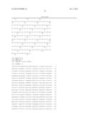 MUTATED PROTOPORPHYRINOGEN IX OXIDASE (PPX) GENES diagram and image