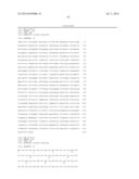 MUTATED PROTOPORPHYRINOGEN IX OXIDASE (PPX) GENES diagram and image