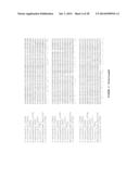 PLANTS HAVING ENHANCED YIELD-RELATED TRAITS AND A METHOD FOR MAKING THE     SAME diagram and image