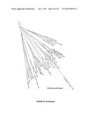 PLANTS HAVING ENHANCED YIELD-RELATED TRAITS AND A METHOD FOR MAKING THE     SAME diagram and image