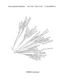 PLANTS HAVING ENHANCED YIELD-RELATED TRAITS AND A METHOD FOR MAKING THE     SAME diagram and image