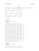 PLANTS HAVING ENHANCED YIELD-RELATED TRAITS AND A METHOD FOR MAKING THE     SAME diagram and image