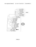 PLANTS HAVING ENHANCED YIELD-RELATED TRAITS AND A METHOD FOR MAKING THE     SAME diagram and image