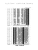 PLANTS HAVING ENHANCED YIELD-RELATED TRAITS AND A METHOD FOR MAKING THE     SAME diagram and image