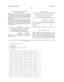 PLANTS HAVING ENHANCED YIELD-RELATED TRAITS AND A METHOD FOR MAKING THE     SAME diagram and image