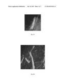 3-MODE BLENDED FIBERS IN AN ENGINEERED CEMENTITIOUS COMPOSITE diagram and image