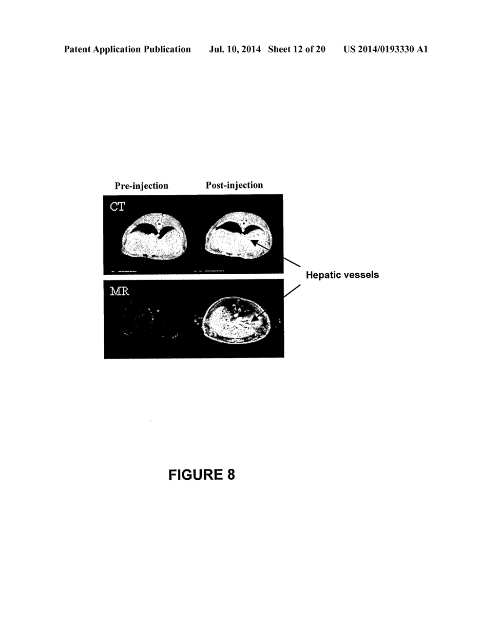COMPOSITIONS AND METHODS FOR MULTIMODAL IMAGING - diagram, schematic, and image 13
