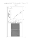 PREPARATION OF PARENTAL CELL BANK FROM FOETAL TISSUE diagram and image