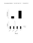 TREATMENT OF VASCULOPATHY WITH PROSTACYCLIN AND MESENCHYMAL STEM CELLS diagram and image