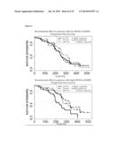 METHOD TO IDENTIFY A PATIENT WITH AN INCREASED LIKELIHOOD OF RESPONDING TO     AN ANTI-CANCER THERAPY diagram and image