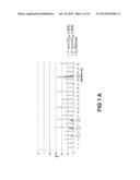 STABLE AND SOLUBLE ANTIBODIES INHIBITING TNF ALPHA diagram and image