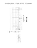 STABLE AND SOLUBLE ANTIBODIES INHIBITING TNF ALPHA diagram and image