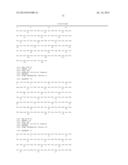 STABLE AND SOLUBLE ANTIBODIES INHIBITING TNF ALPHA diagram and image