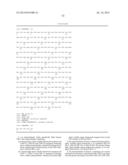 STABLE AND SOLUBLE ANTIBODIES INHIBITING TNF ALPHA diagram and image