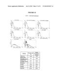 Membrane Transporter NaPi2b (SCL34A2) Epitope for Antibody Therapy,     Antibodies Directed Thereto, and Target for Cancer Therapy diagram and image