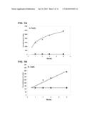 METAL-CITRATE TRANSPORTER ANTIGEN FROM STREPTOMYCES COELICOLOR AND USES     THEREOF diagram and image