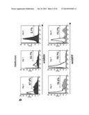 COMPOSITIONS AND METHODS FOR CANCER TREATMENT diagram and image