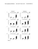 COMPOSITIONS AND METHODS FOR CANCER TREATMENT diagram and image