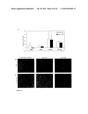 COMPOSITIONS AND METHODS FOR CANCER TREATMENT diagram and image