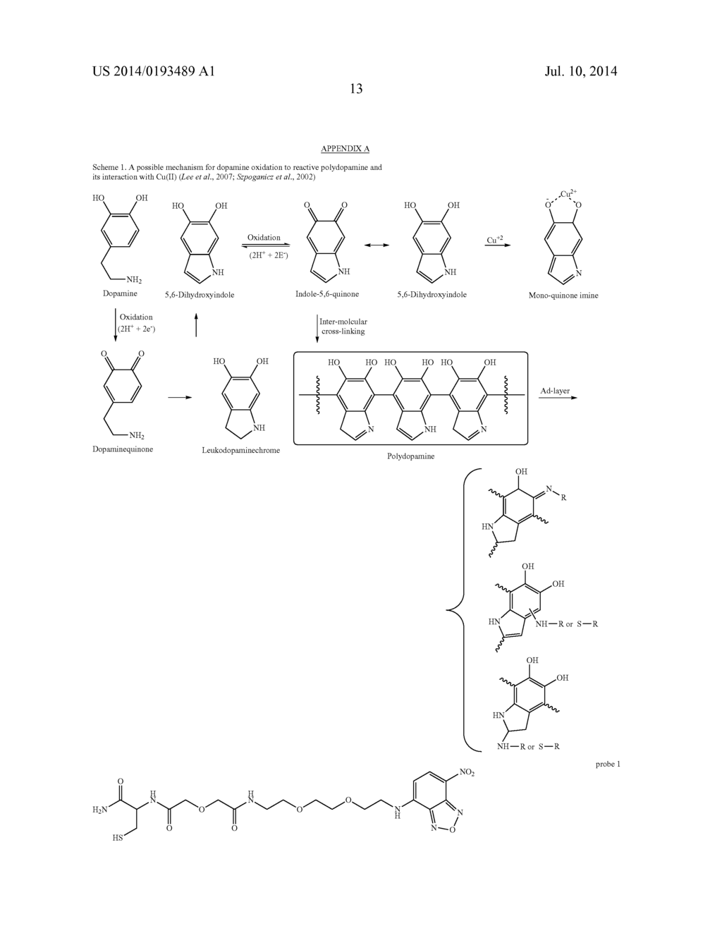 Dopamine Nanocapsules and Uses Thereof - diagram, schematic, and image 38