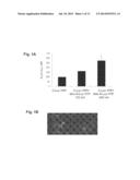 Compositions Of Functional Mitochondria And Uses Thereof diagram and image