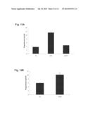 Compositions Of Functional Mitochondria And Uses Thereof diagram and image