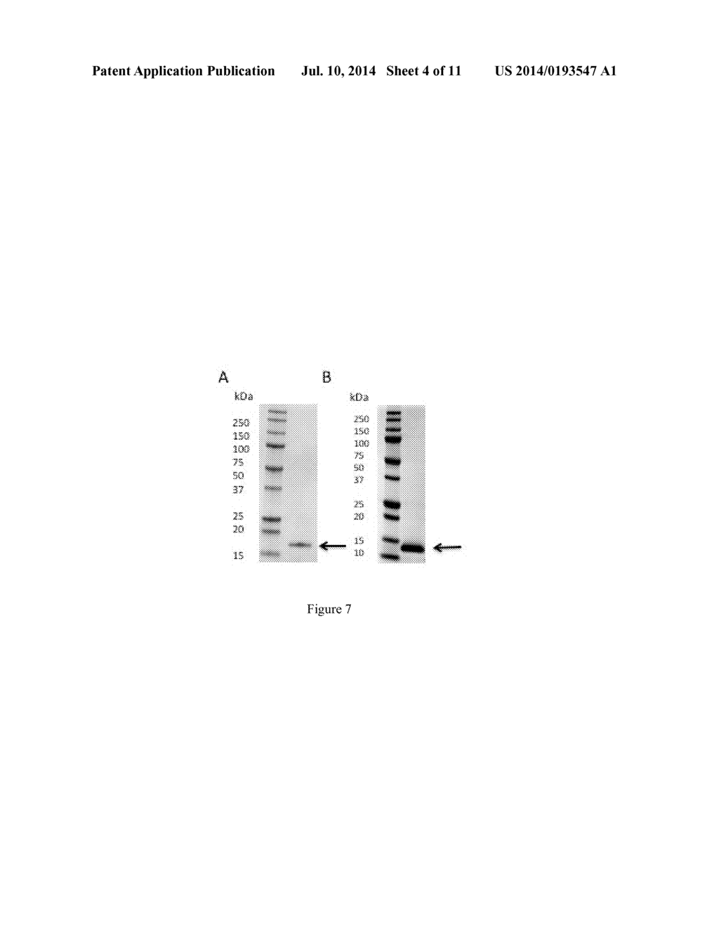 METHODS AND COMPOSITIONS FOR CONSUMABLES - diagram, schematic, and image 05