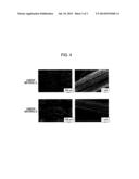 STAINLESS STEEL FOR FUEL CELL SEPARATOR diagram and image