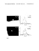 SUBSTRATE SURFACE STRUCTURED WITH THERMALLY STABLE METAL ALLOY     NANOPARTICLES, A METHOD FOR PREPARING THE SAME AND USES THEREOF, IN     PARTICULAR AS A CATALYST diagram and image