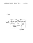 MOLECULAR FLUX RATES THROUGH CRITICAL PATHWAYS MEASURED BY STABLE ISOTOPE     LABELING IN VIVO, AS BIOMARKERS OF DRUG ACTION AND DISEASE ACTIVITY diagram and image