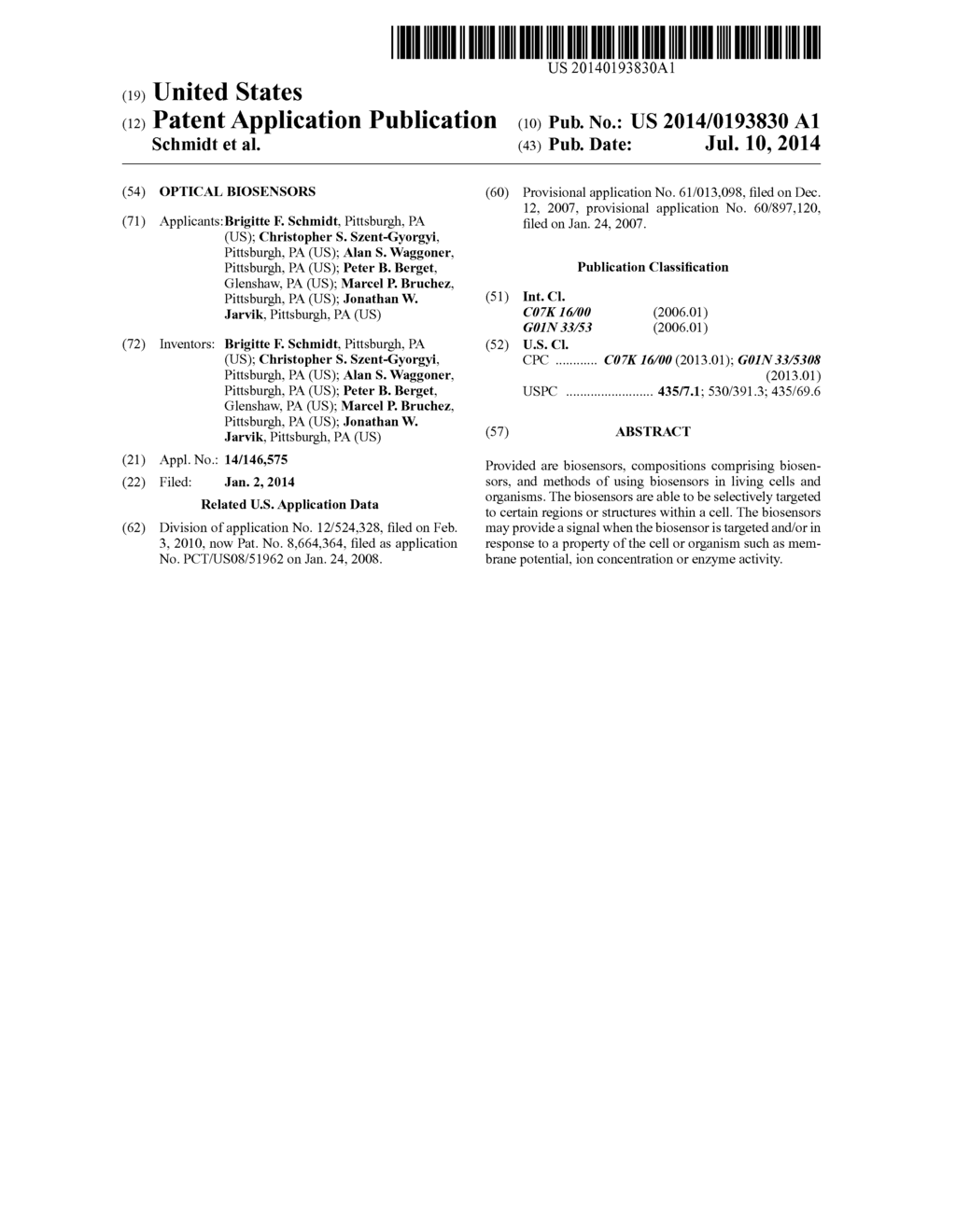 OPTICAL BIOSENSORS - diagram, schematic, and image 01