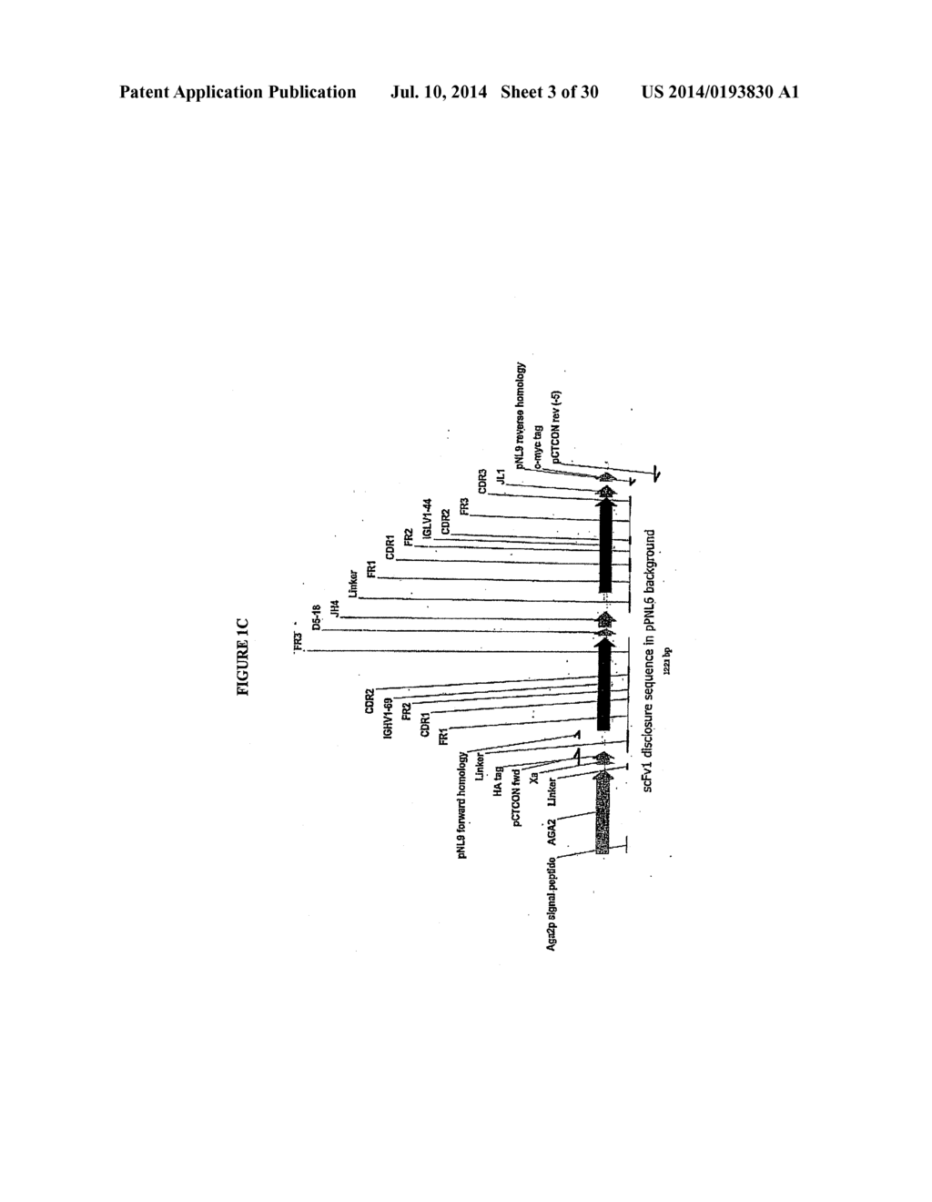 OPTICAL BIOSENSORS - diagram, schematic, and image 04