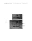 OPTICAL BIOSENSORS diagram and image