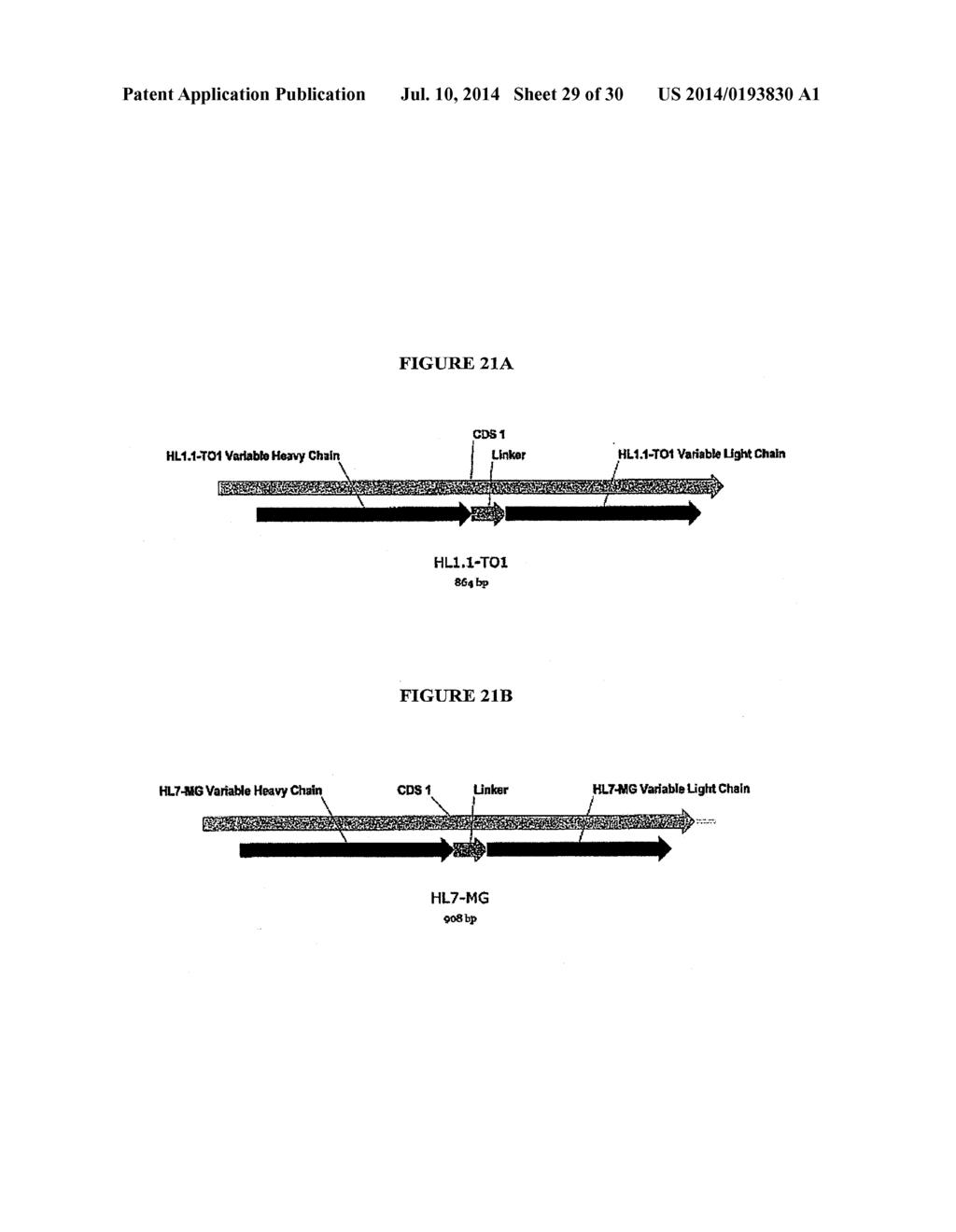 OPTICAL BIOSENSORS - diagram, schematic, and image 30