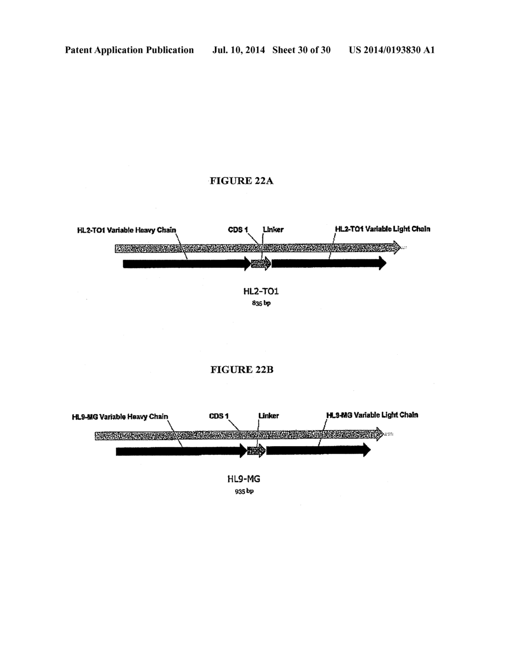 OPTICAL BIOSENSORS - diagram, schematic, and image 31