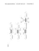 Methods Of Producing 7-Carbon Chemicals Via C1 Carbon Chain Elongation     Associated With Coenzyme B Synthesis diagram and image